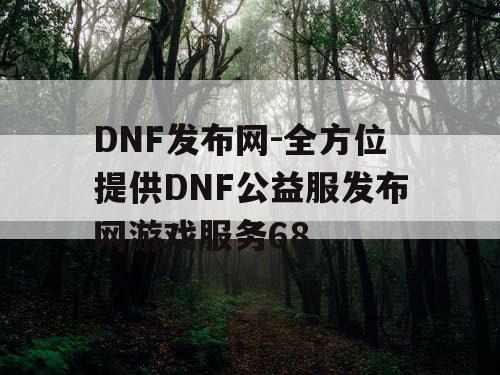 DNF发布网-全方位提供DNF公益服发布网游戏服务68