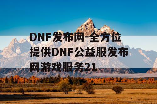 DNF发布网-全方位提供DNF公益服发布网游戏服务21