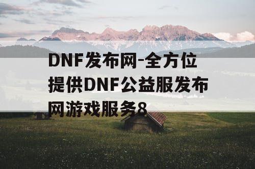 DNF发布网-全方位提供DNF公益服发布网游戏服务8
