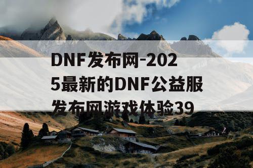 DNF发布网-2025最新的DNF公益服发布网游戏体验39