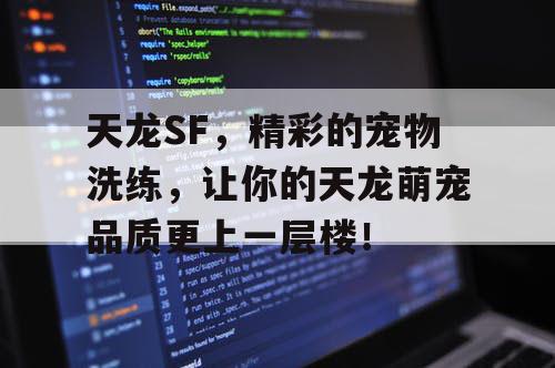 天龙SF，精彩的宠物洗练，让你的天龙萌宠品质更上一层楼！