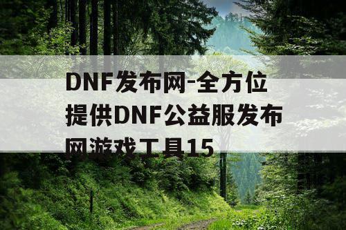 DNF发布网-全方位提供DNF公益服发布网游戏工具15