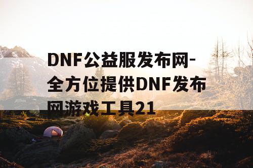 DNF公益服发布网-全方位提供DNF发布网游戏工具21
