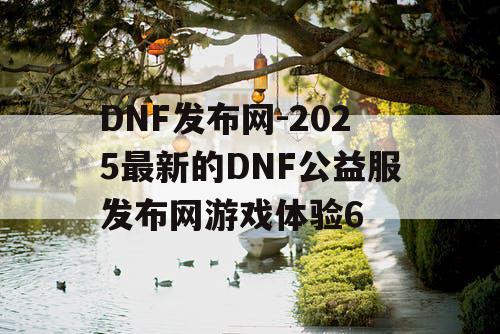 DNF发布网-2025最新的DNF公益服发布网游戏体验6