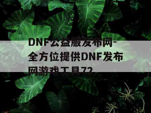 DNF公益服发布网-全方位提供DNF发布网游戏工具72