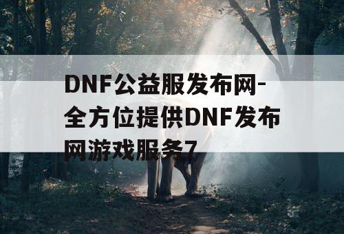 DNF公益服发布网-全方位提供DNF发布网游戏服务7