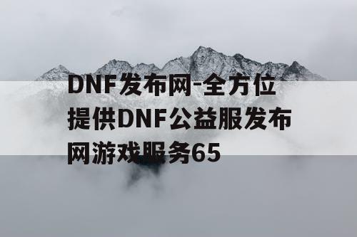DNF发布网-全方位提供DNF公益服发布网游戏服务65