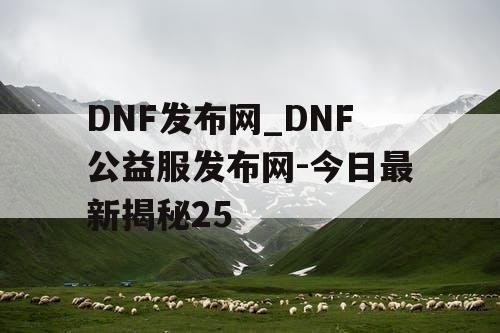 DNF发布网_DNF公益服发布网-今日最新揭秘25