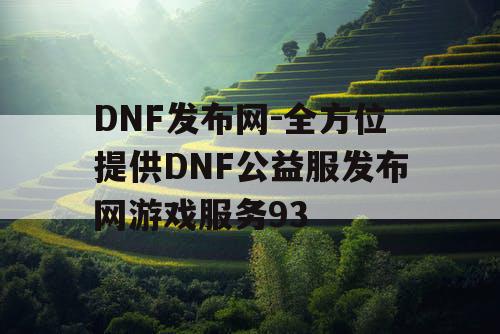 DNF发布网-全方位提供DNF公益服发布网游戏服务93