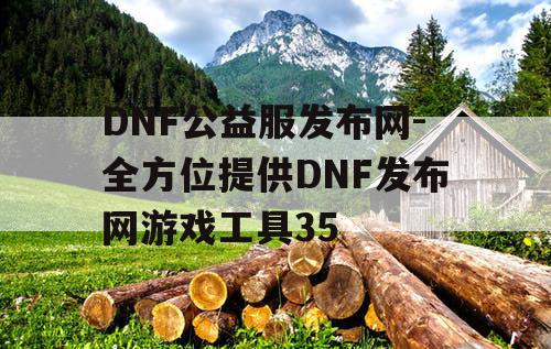 DNF公益服发布网-全方位提供DNF发布网游戏工具35