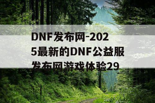 DNF发布网-2025最新的DNF公益服发布网游戏体验29