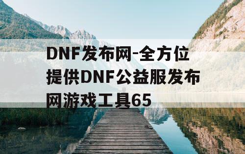 DNF发布网-全方位提供DNF公益服发布网游戏工具65 DNF发布网-全方位提供DNF公益服发布网游戏工具65
