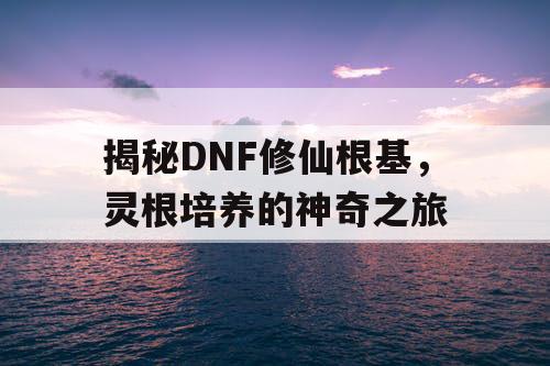 揭秘DNF修仙根基，灵根培养的神奇之旅