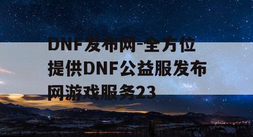 DNF发布网-全方位提供DNF公益服发布网游戏服务23