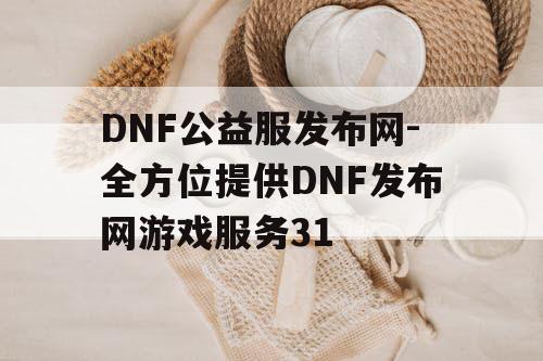 DNF公益服发布网-全方位提供DNF发布网游戏服务31