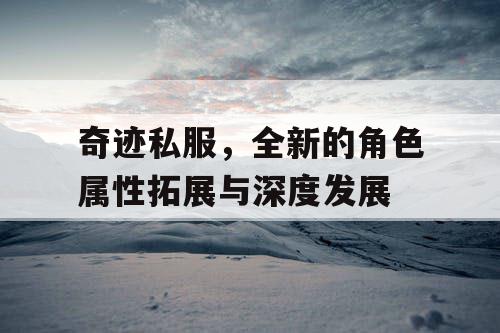 奇迹私服，全新的角色属性拓展与深度发展