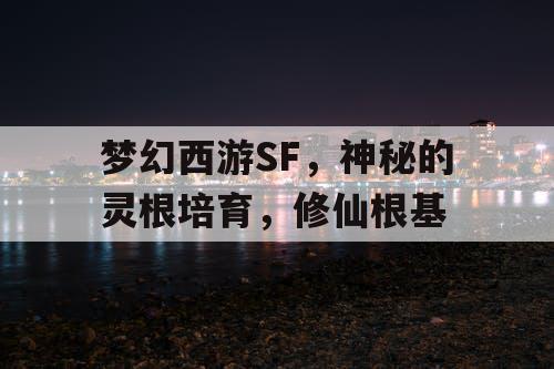 梦幻西游SF，神秘的灵根培育，修仙根基