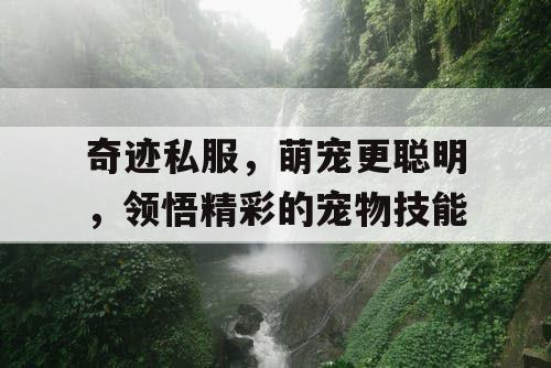 奇迹私服,萌宠更聪明,领悟精彩的宠物技能 奇迹私服,萌宠更聪明,领悟精彩的宠物技能