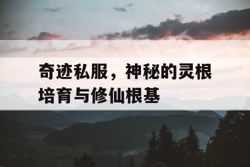 奇迹私服，神秘的灵根培育与修仙根基