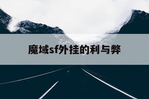 魔域sf外挂的利与弊