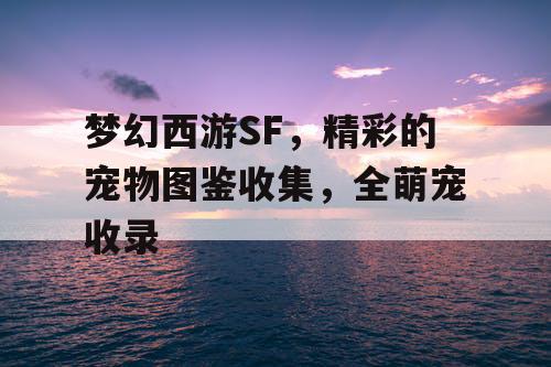 梦幻西游SF,精彩的宠物图鉴收集,全萌宠收录 梦幻西游SF,精彩的宠物图鉴收集,全萌宠收录