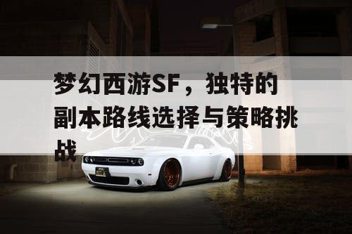 梦幻西游SF,独特的副本路线选择与策略挑战 梦幻西游SF,独特的副本路线选择与策略挑战