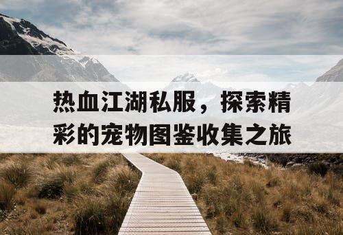 热血江湖私服，探索精彩的宠物图鉴收集之旅