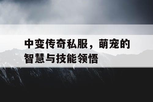 中变传奇私服，萌宠的智慧与技能领悟