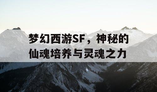 梦幻西游SF，神秘的仙魂培养与灵魂之力