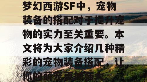 梦幻西游SF中，宠物装备的搭配对于提升宠物的实力至关重要。本文将为大家介绍几种精彩的宠物装备搭配，让你的萌宠更加强大。