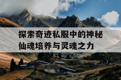 探索奇迹私服中的神秘仙魂培养与灵魂之力