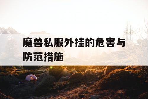 魔兽私服外挂的危害与防范措施