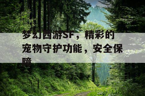 梦幻西游SF，精彩的宠物守护功能，安全保障