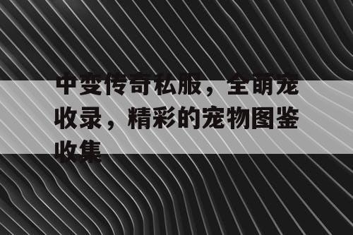 中变传奇私服，全萌宠收录，精彩的宠物图鉴收集