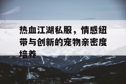 热血江湖私服，情感纽带与创新的宠物亲密度培养