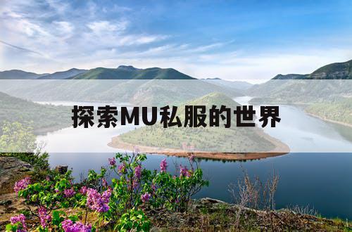 探索MU私服的世界
