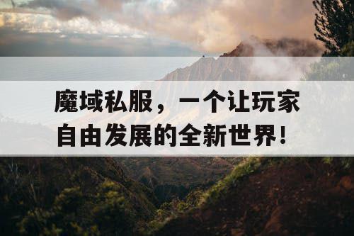 魔域私服，一个让玩家自由发展的全新世界！