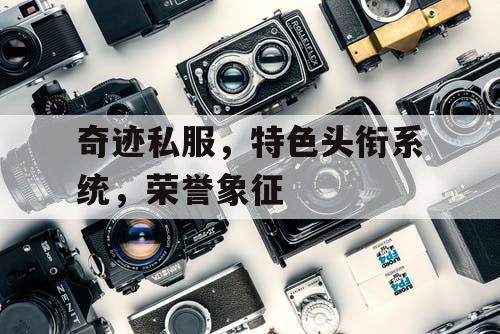 奇迹私服，特色头衔系统，荣誉象征