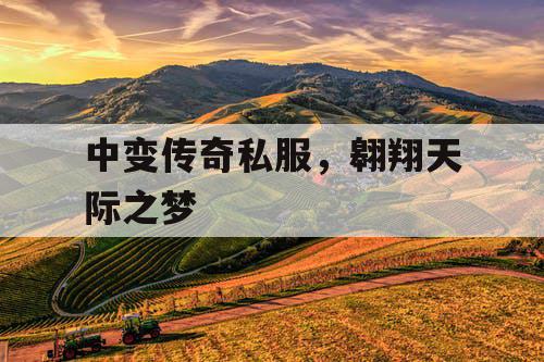 中变传奇私服，翱翔天际之梦