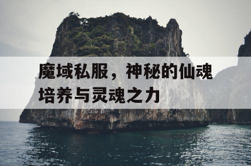 魔域私服，神秘的仙魂培养与灵魂之力