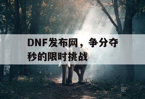 DNF发布网，争分夺秒的限时挑战