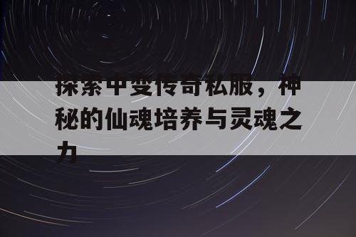 探索中变传奇私服，神秘的仙魂培养与灵魂之力