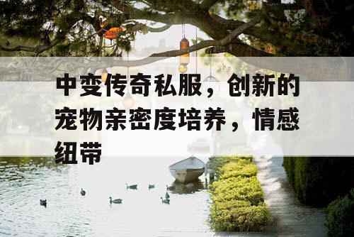 中变传奇私服，创新的宠物亲密度培养，情感纽带