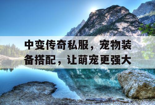 中变传奇私服，宠物装备搭配，让萌宠更强大