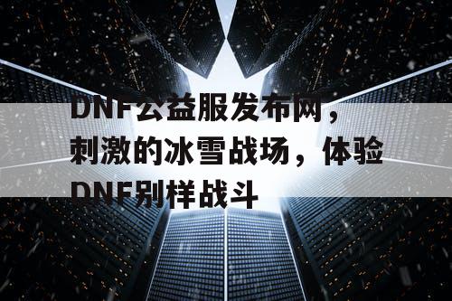 DNF公益服发布网，刺激的冰雪战场，体验DNF别样战斗