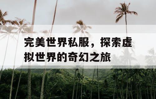 完美世界私服，探索虚拟世界的奇幻之旅