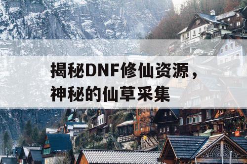 揭秘DNF修仙资源，神秘的仙草采集