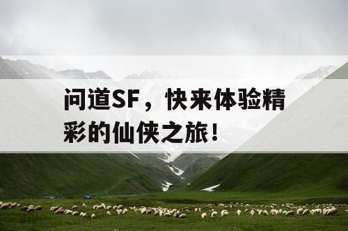 问道SF，快来体验精彩的仙侠之旅！