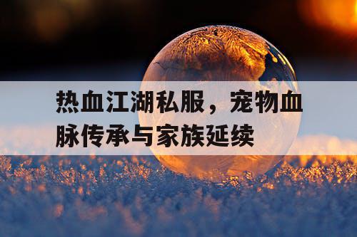 热血江湖私服，宠物血脉传承与家族延续