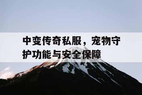 中变传奇私服，宠物守护功能与安全保障